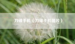 刀锋手机（刀锋手机图片）