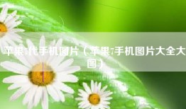 苹果7代手机图片（苹果7手机图片大全大图）