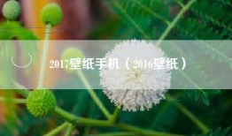 2017壁纸手机（2016壁纸）