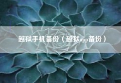 越狱手机备份（越狱app备份）