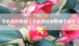 手机放样软件（手机放样软件哪个最好）