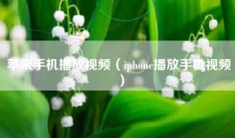 苹果手机播放视频（iphone播放手机视频）