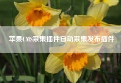 苹果CMS采集插件自动采集发布插件