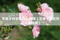 苹果手机软件怎么删除（苹果手机软件怎么删除掉）