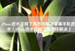 iPhone进水花屏了该怎样解决苹果手机进水「iPhone进水花屏了该怎样解决」