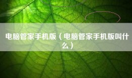 电脑管家手机版（电脑管家手机版叫什么）