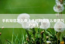 手机短信怎么查（手机短信怎么查燃气户号）