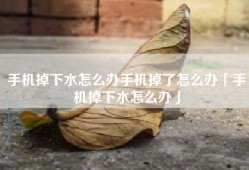 手机掉下水怎么办手机掉了怎么办「手机掉下水怎么办」