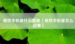 查找手机是什么意思（查找手机是怎么回事）