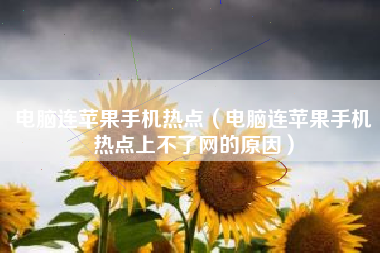 电脑连苹果手机热点（电脑连苹果手机热点上不了网的原因）