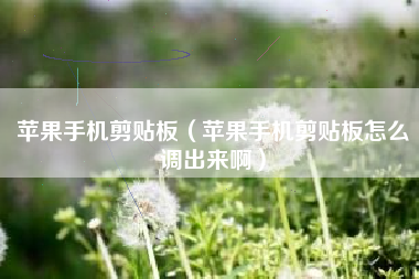 苹果手机剪贴板（苹果手机剪贴板怎么调出来啊）