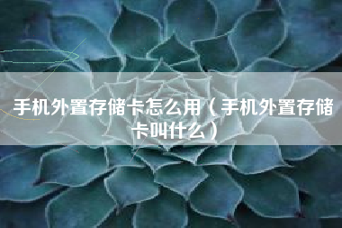 手机外置存储卡怎么用（手机外置存储卡叫什么）